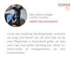Pepper_IMG-20240201-WA0014