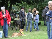 A.S.P.A. Sommerfest
