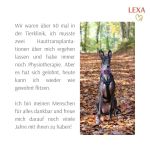 Lexa_IMG-20240215-WA0024