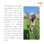 Toke_IMG-20240124-WA0016