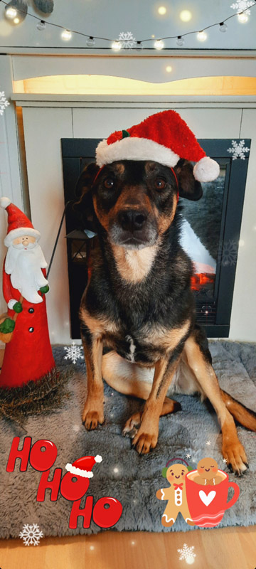 Amy (früher Fritzi)
