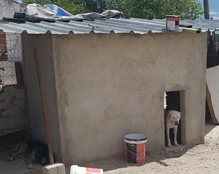 Chenos neue Hütte