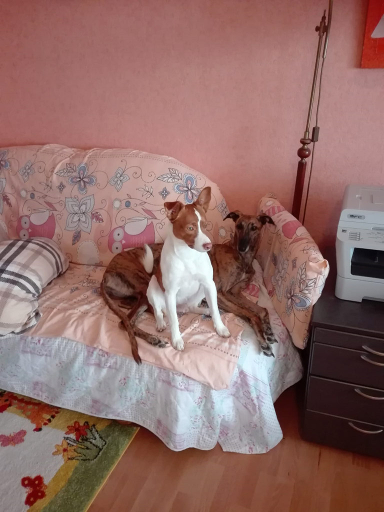 Cristofer und Elodie- gesucht und gefunden