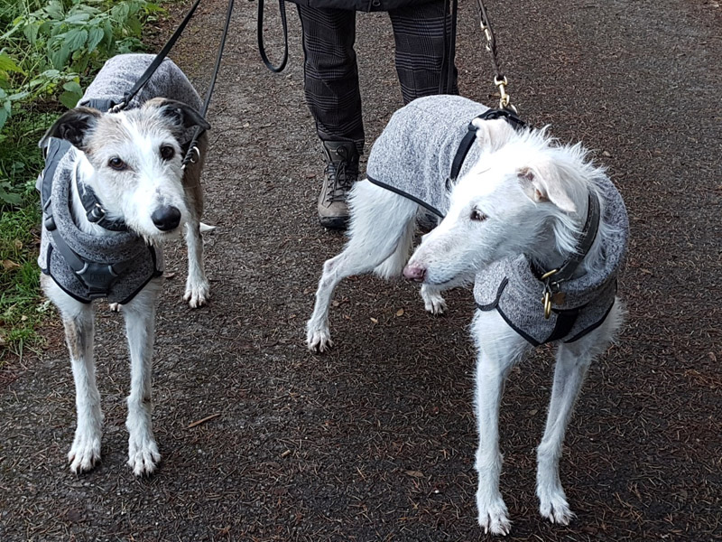 Hermine and friend