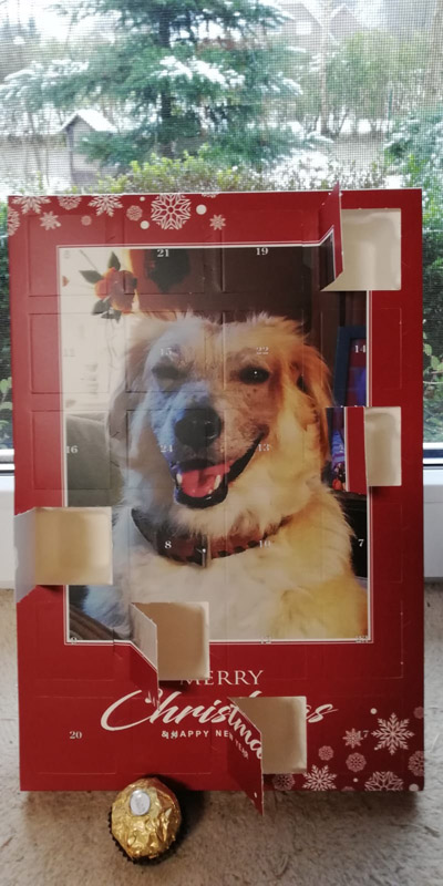 Leo als Adventskalender