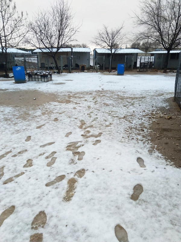Erster Schnee in der Albergue