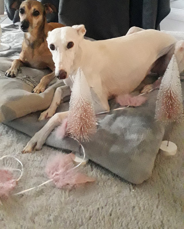Nuri und Elsa
