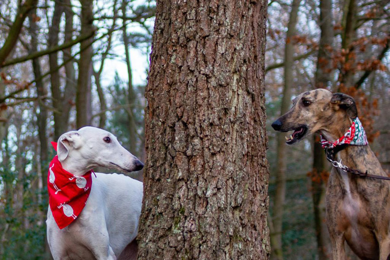 James und Xanta