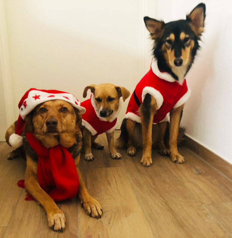 Julie and friends