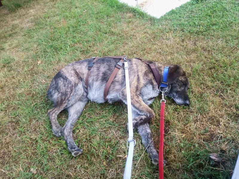 Julio