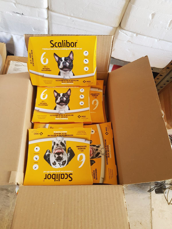 Paket mit Scaliborhalsbänder