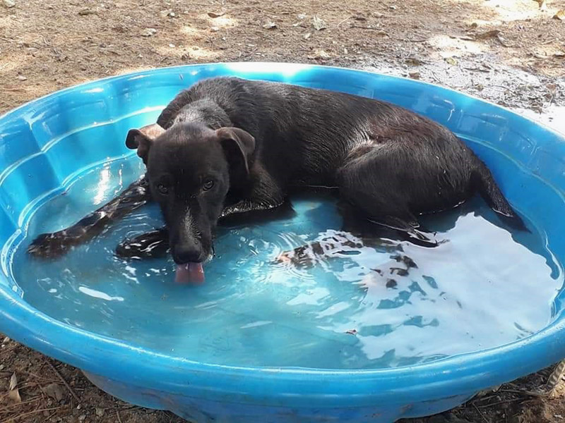 Baden