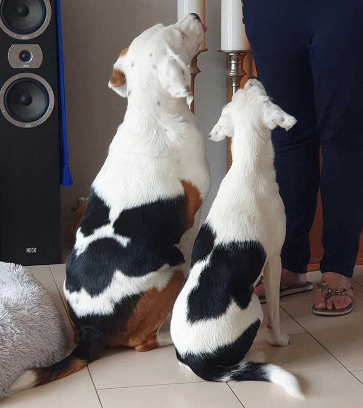 Vicky in ihrer neuen Familie