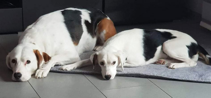 Vicky in ihrer neuen Familie