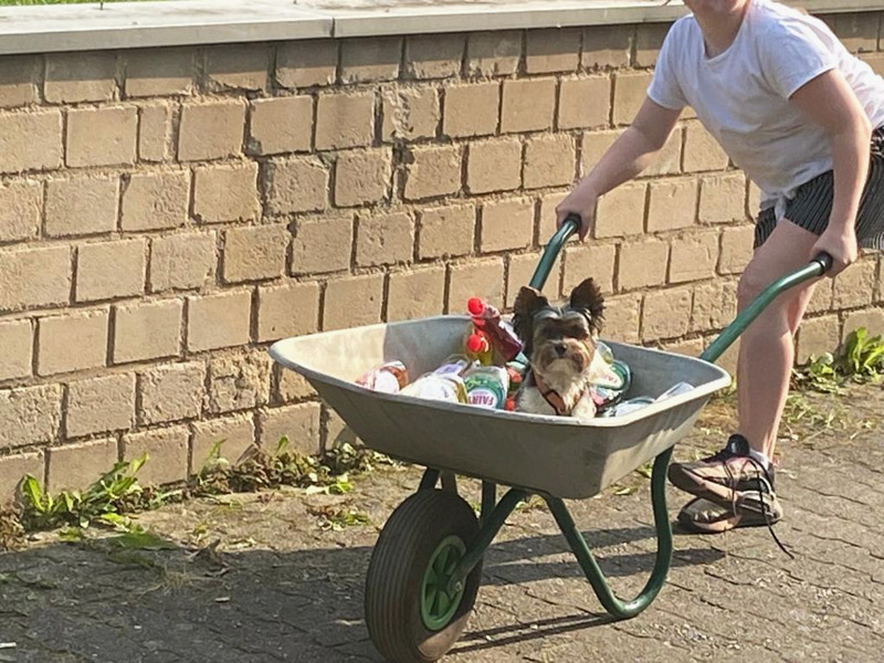 Vierbeinige Helfer