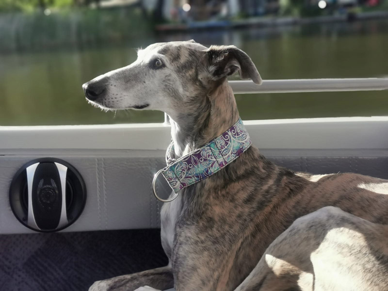 Zoey entspannt sich bei der Bootstour.