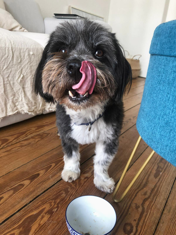 Pumba