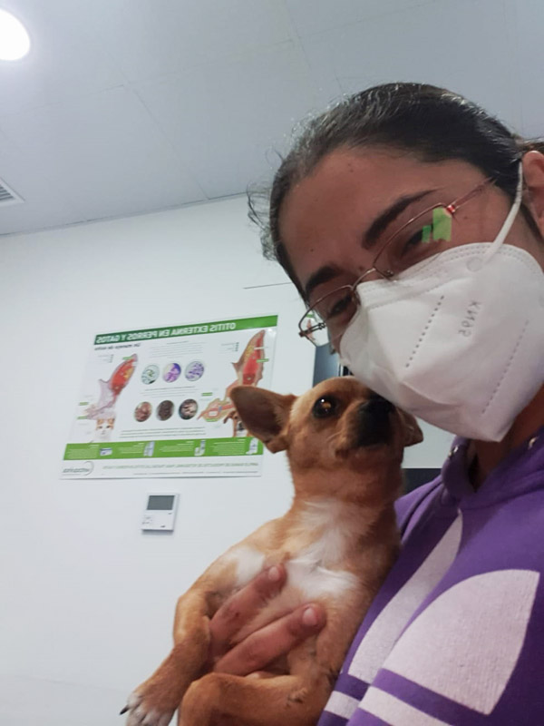 Rosa Klinik