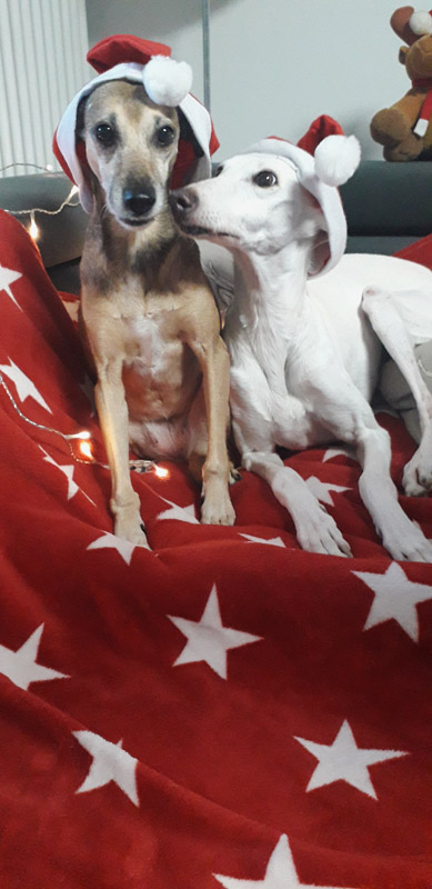 Nuri und Elsa