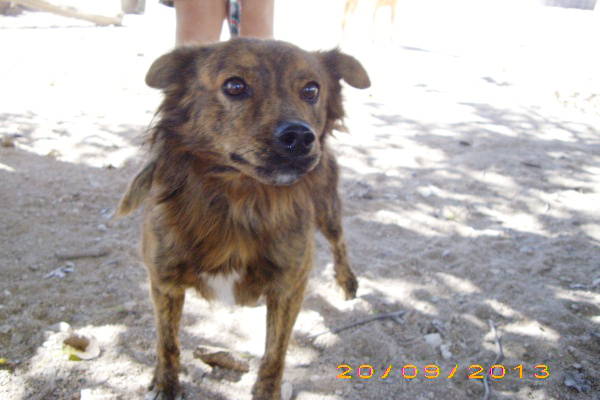 RANGO