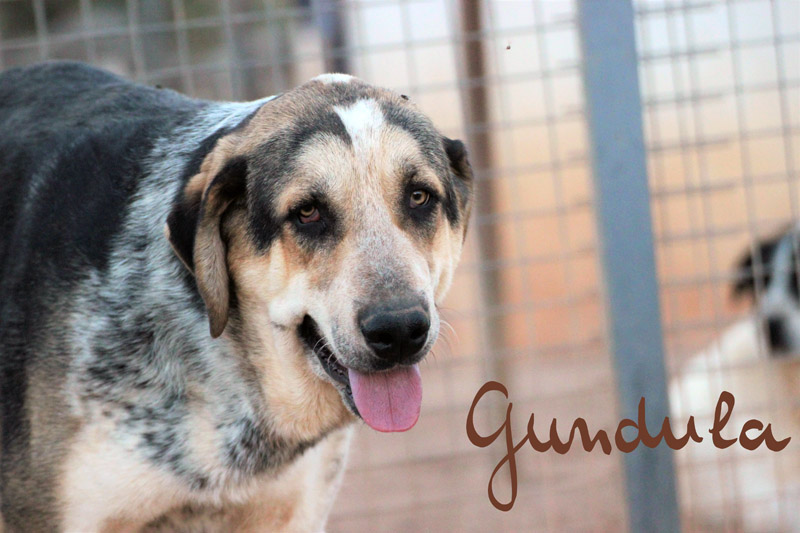 gundula_img_7244-2_52182851509_o.jpg