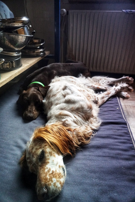 jack_dsc06794.jpg