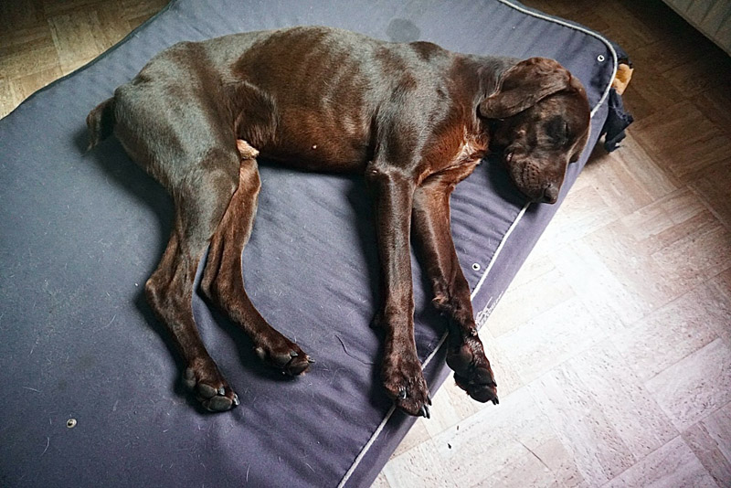 jack_dsc06804.jpg