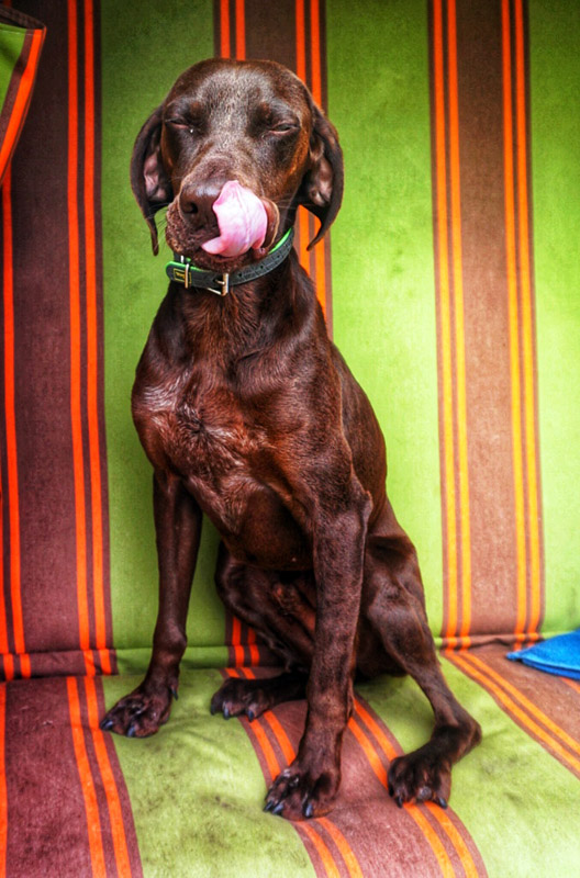 jack_dsc06809.jpg