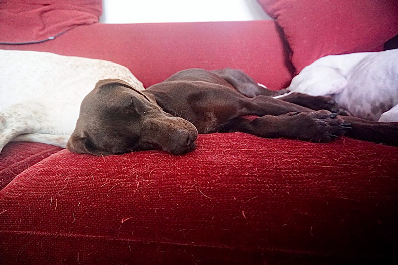 jack_dsc06822.jpg