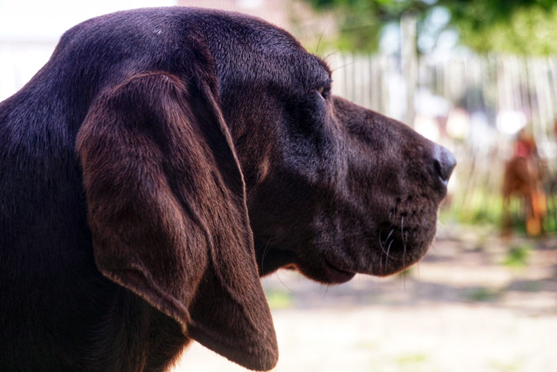 jack_dsc06875.jpg