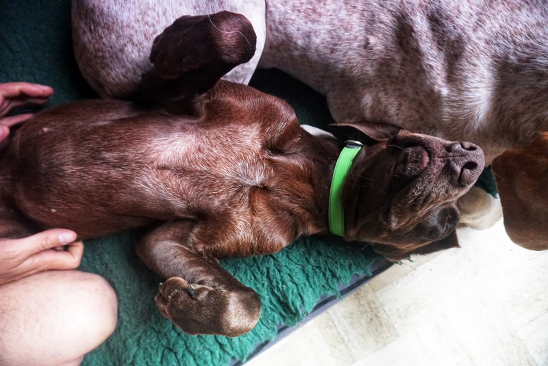 jack_dsc06883.jpg