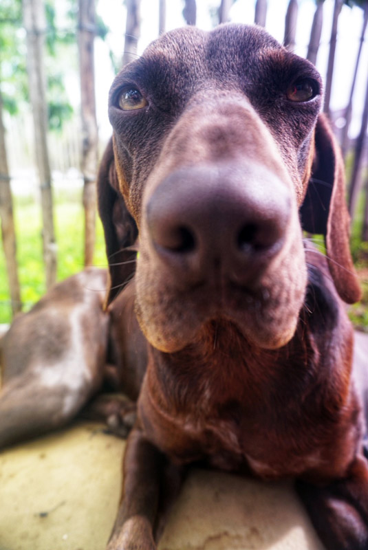 jack_dsc06892.jpg