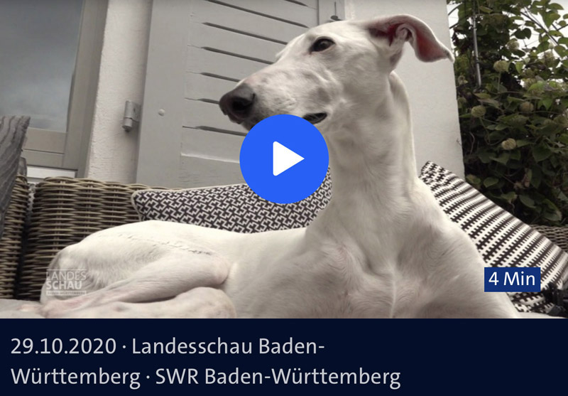 SWR Landesschau Baden-Württemberg vom 29.10.2020